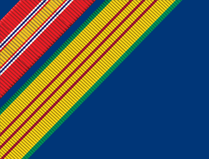 Vietnam Veterans Commemoration Ribbons